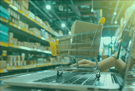 Greentiq Case Study for E-commerce Industry